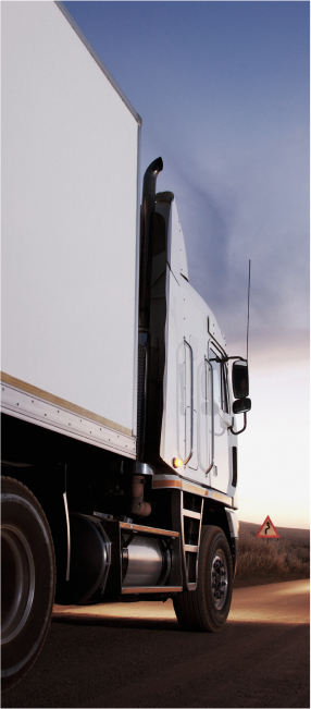 t6